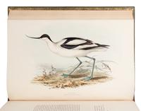 [NATURAL HISTORY]. GOULD, John (1804-1881). The Birds of Europe . London: Richard and John E. Taylor, [1832-] 1837.