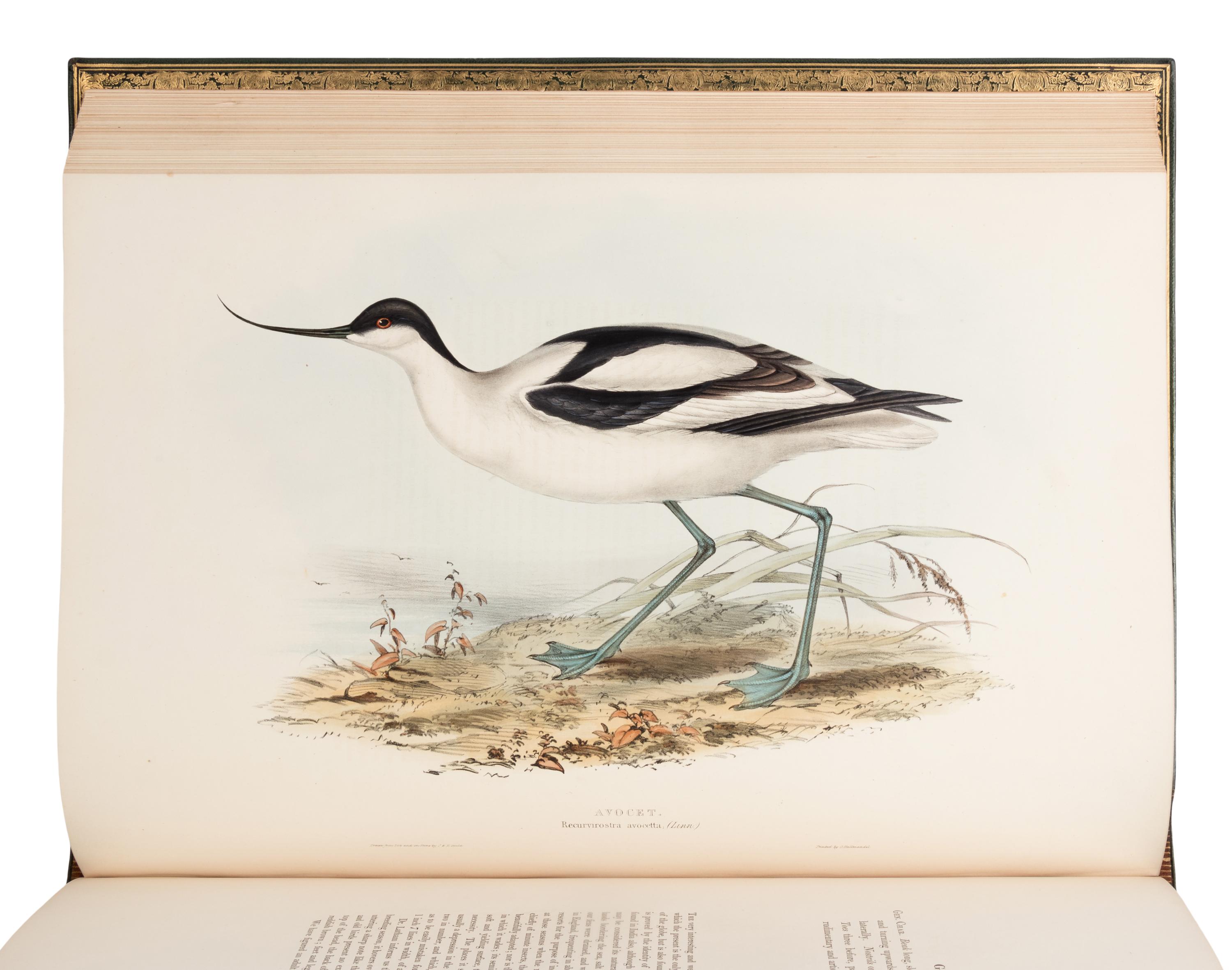 [NATURAL HISTORY]. GOULD, John (1804-1881). The Birds of Europe . London: Richard and John E. Taylor, [1832-] 1837.