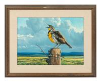 Meadowlark , 1998