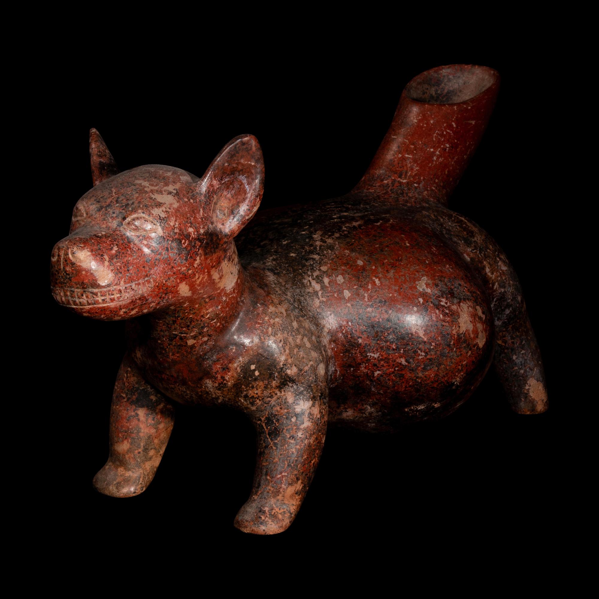 A Colima Redware Dog Effigy Vessel