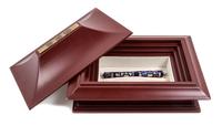 A Visconti Forbidden City Limited Edition Fountain Pen