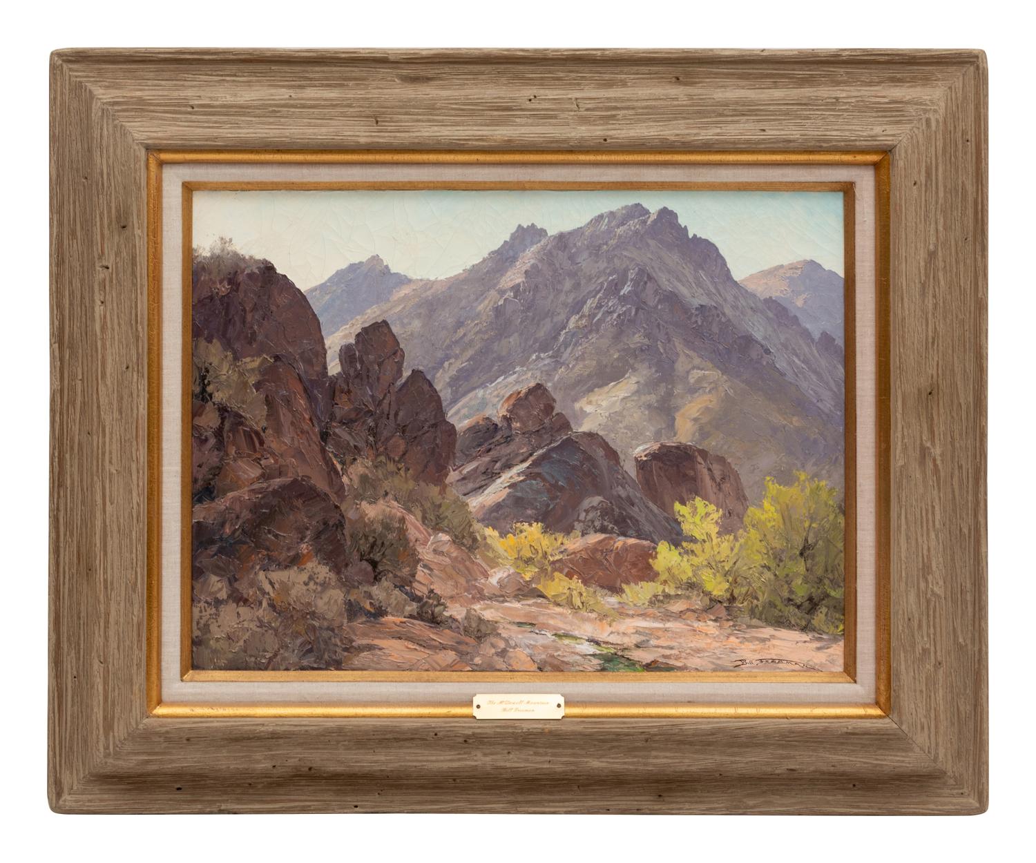 The Mcdowell Mountains