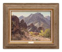 The Mcdowell Mountains