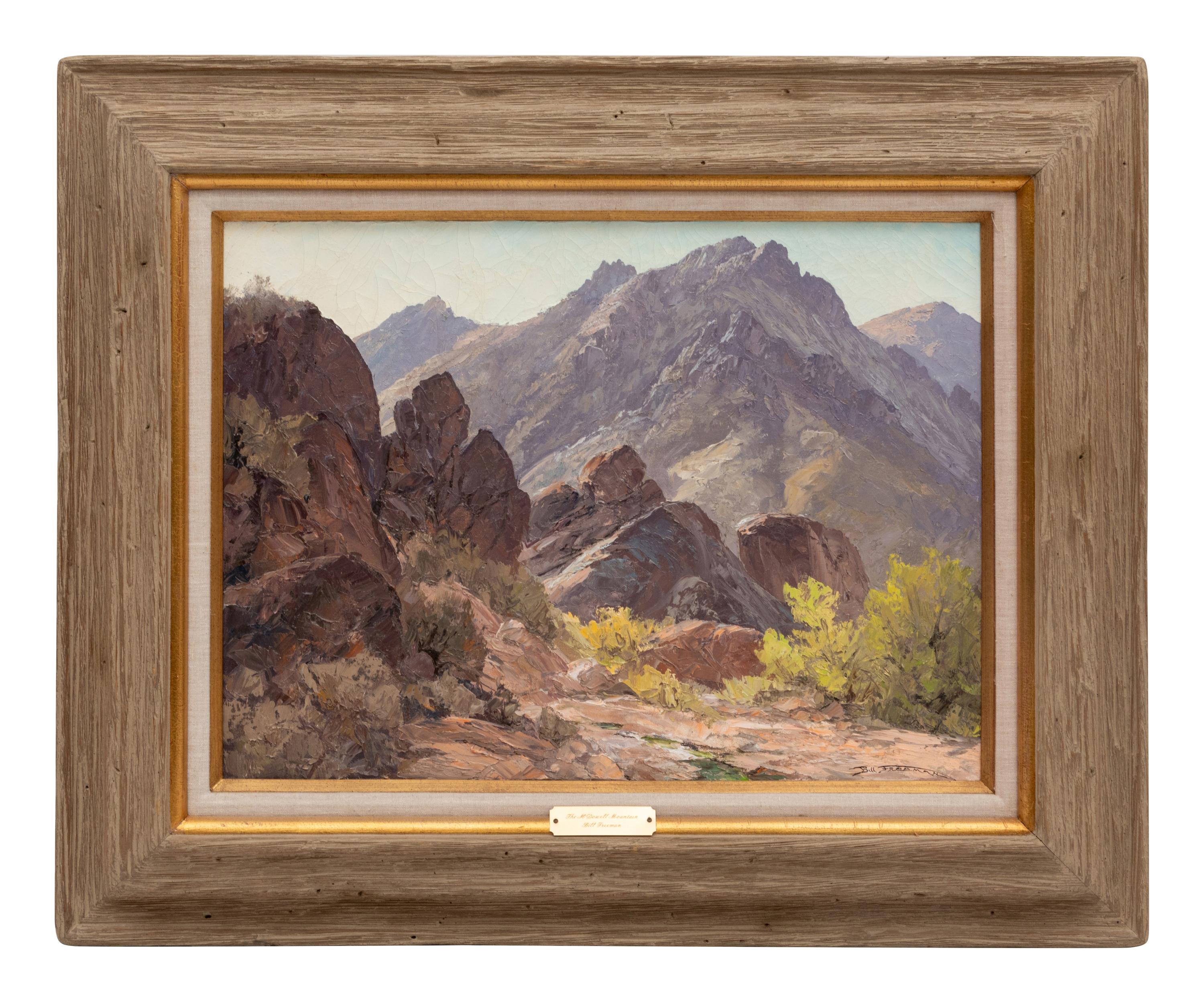 The Mcdowell Mountains