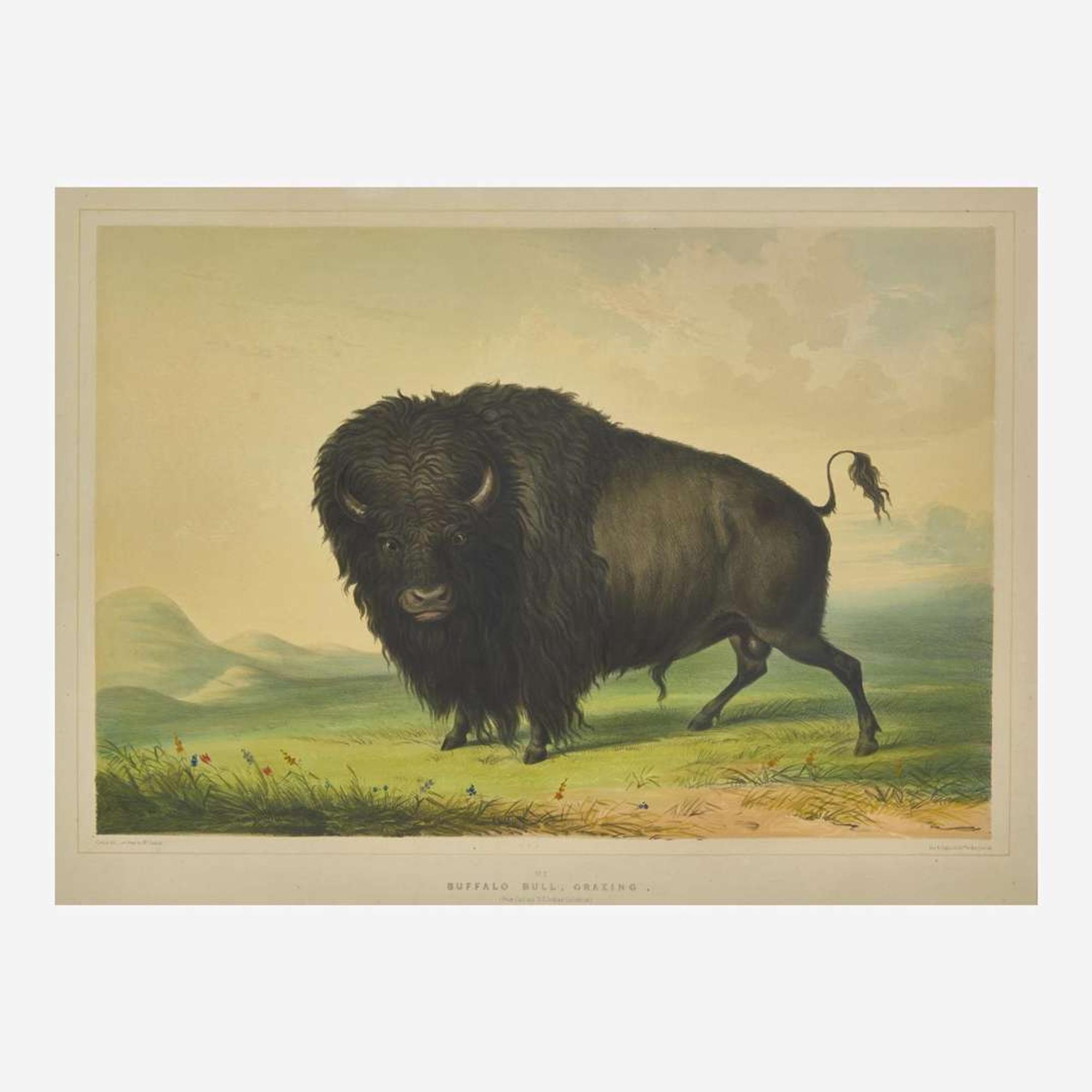 George Catlin (American, 1796-1872) Catlin's North American Indian Portfolio: Hunting Scenes and Amusements of the Rocky Mountains and Prairies of America