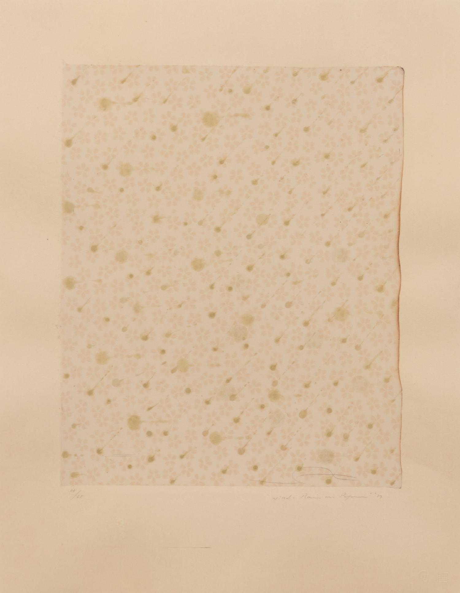 Flowers, Rain, Snow, and Wind - Rain on Paper