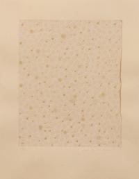 Flowers, Rain, Snow, and Wind - Rain on Paper