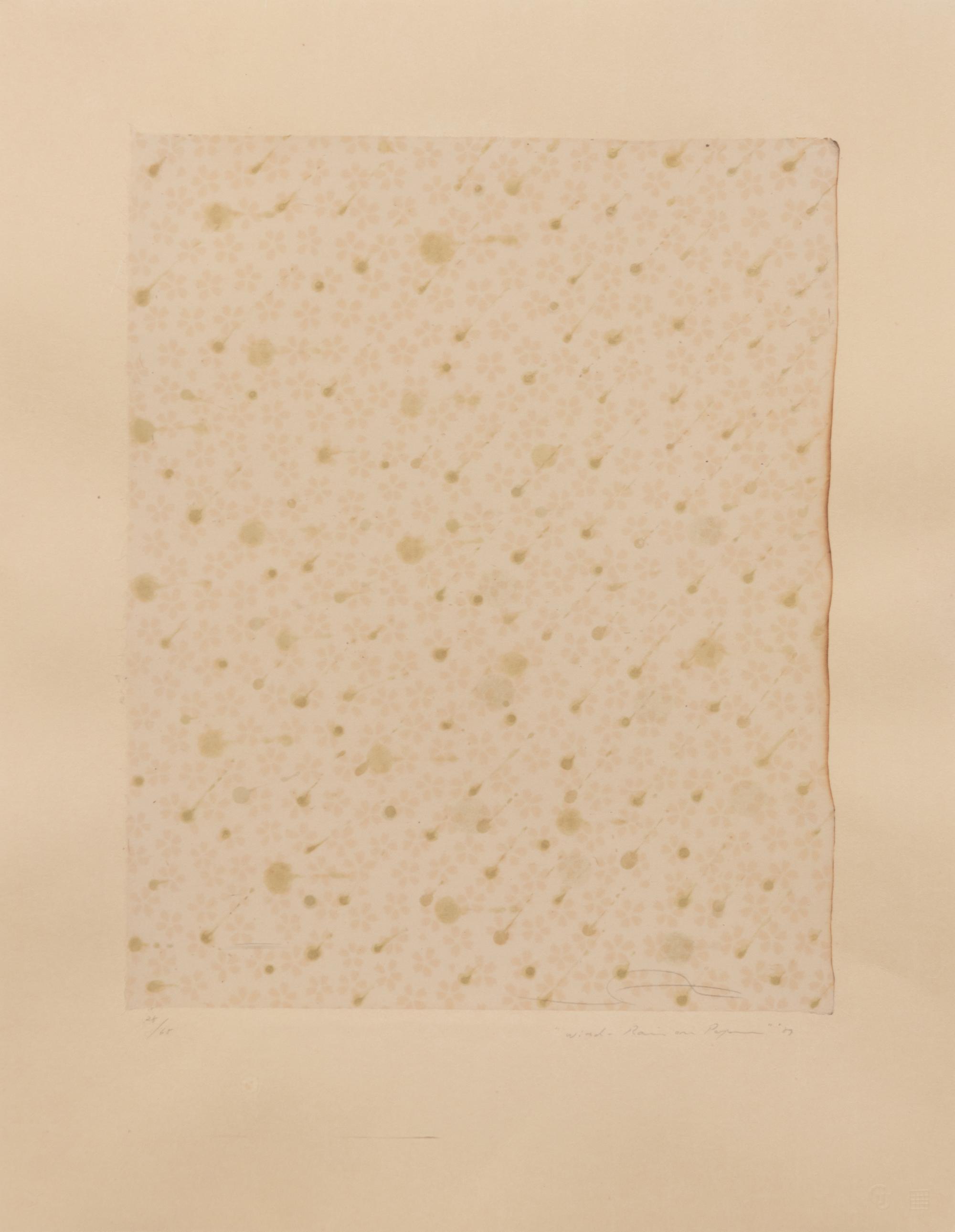 Flowers, Rain, Snow, and Wind - Rain on Paper