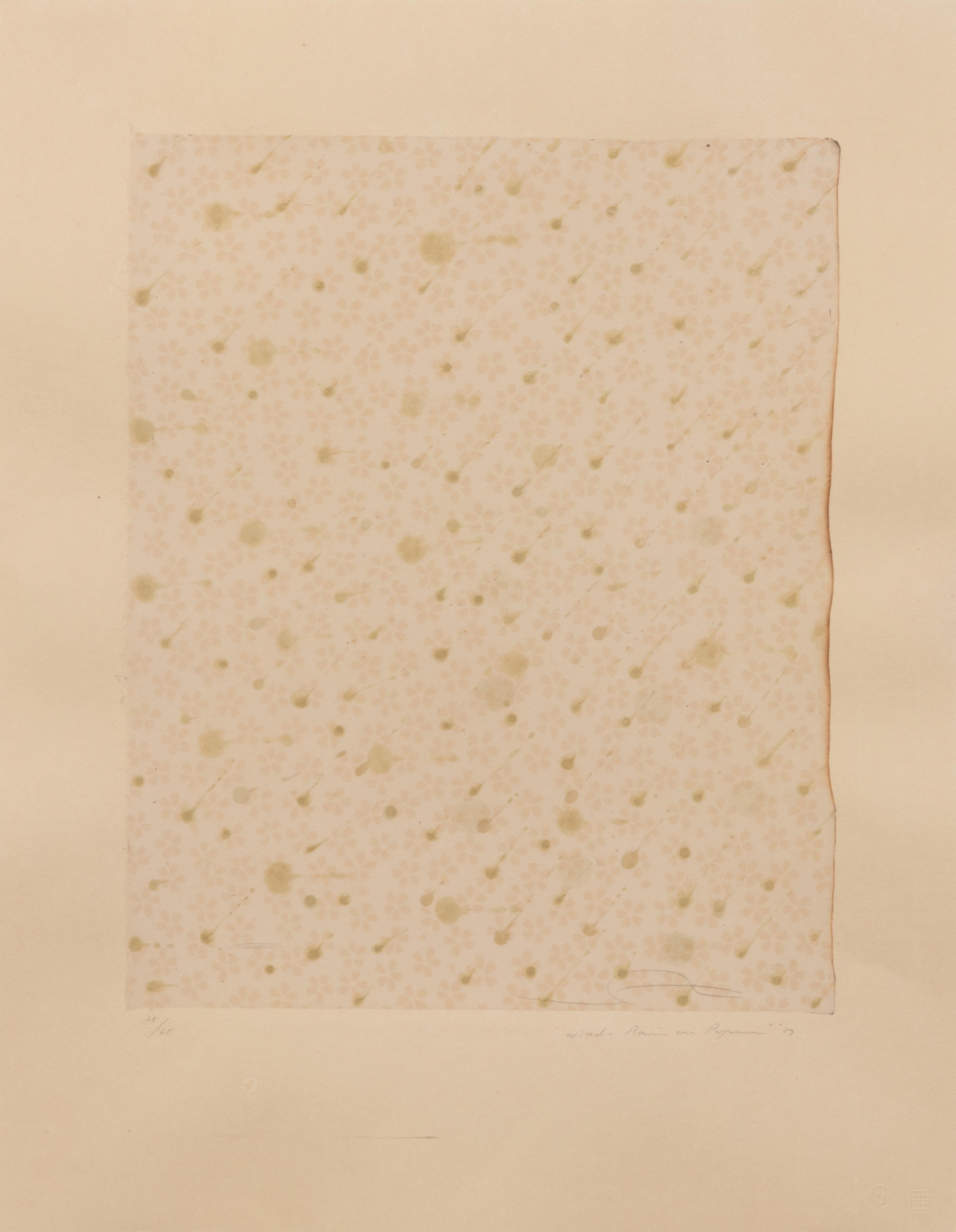 Flowers, Rain, Snow, and Wind - Rain on Paper