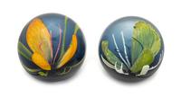 Caithness Glass, Scotland, two glass paperweights, each with flower decoration