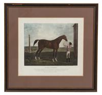 A Collection of Nine Decorative Etchings Largest framed dimensions 23 x 24 inches. — 19TH/20TH CENTURY