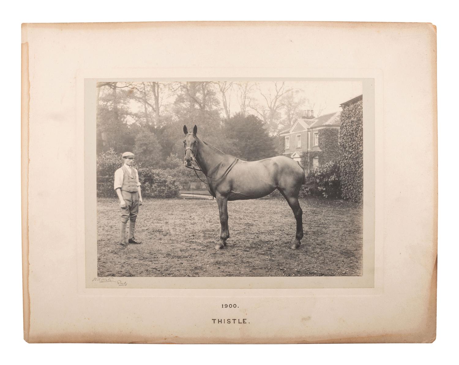 [EARLY PHOTOGRAPHY]. WINTER, W.W., photo. 6 platinum photographs of identified horses. Derby, 1900.