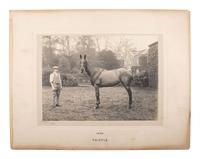 [EARLY PHOTOGRAPHY]. WINTER, W.W., photo. 6 platinum photographs of identified horses. Derby, 1900.