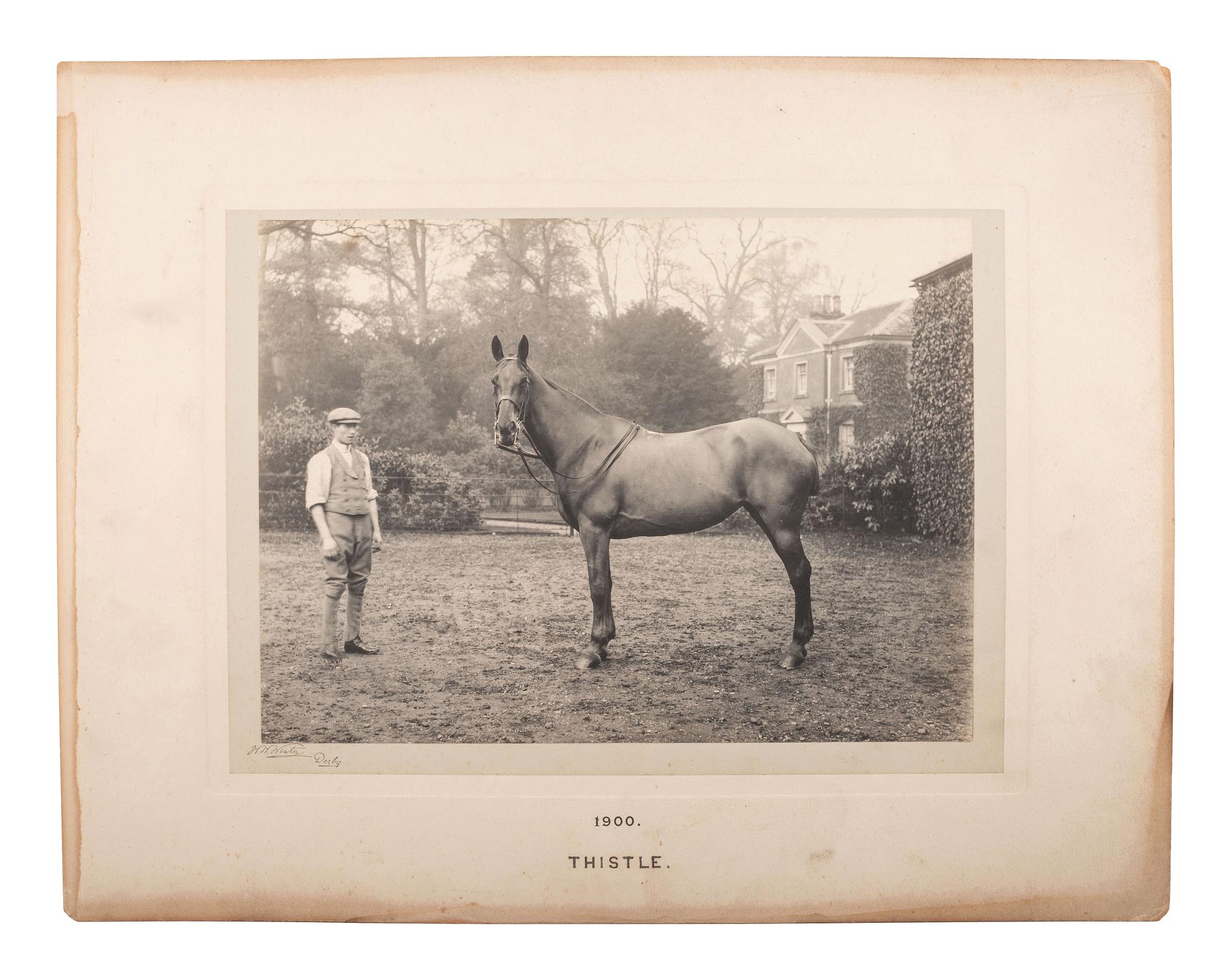 [EARLY PHOTOGRAPHY]. WINTER, W.W., photo. 6 platinum photographs of identified horses. Derby, 1900.