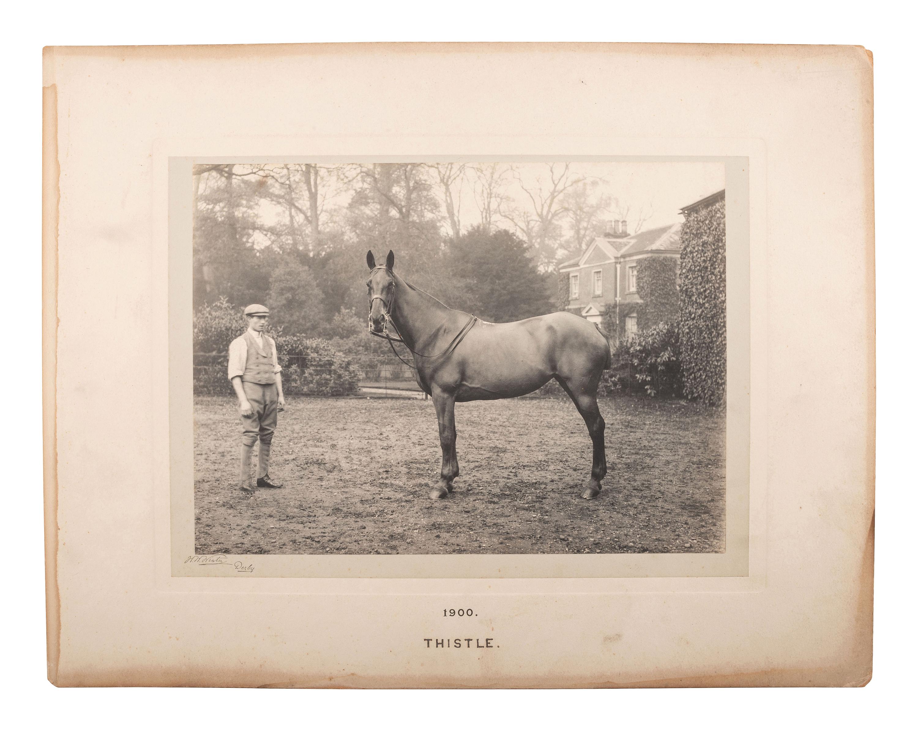 [EARLY PHOTOGRAPHY]. WINTER, W.W., photo. 6 platinum photographs of identified horses. Derby, 1900.
