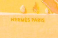 Two Hermès 70cm Double Layer Silk Chiffon Scarves