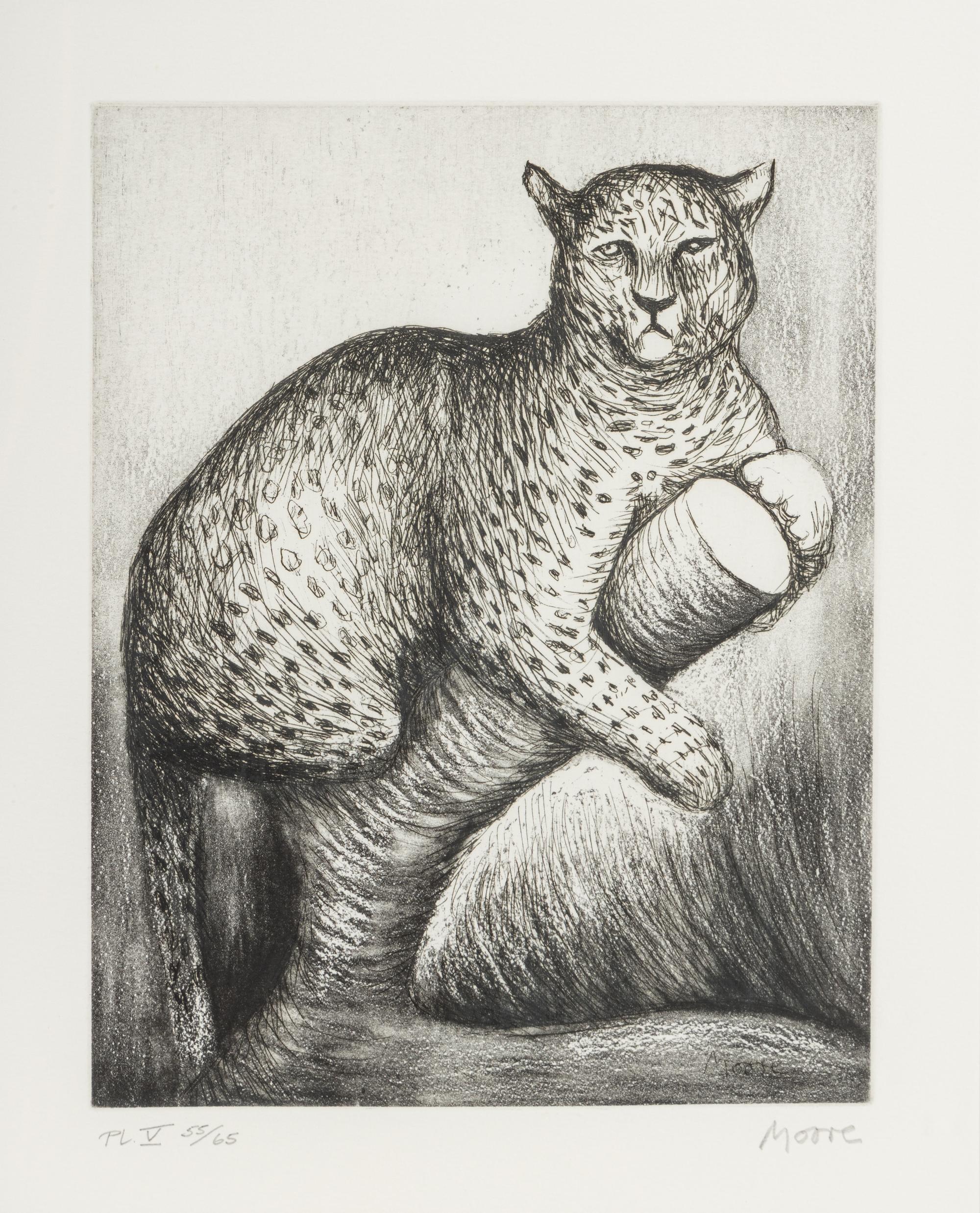 Leopard (Plate V from Animals in the Zoo ), 1981