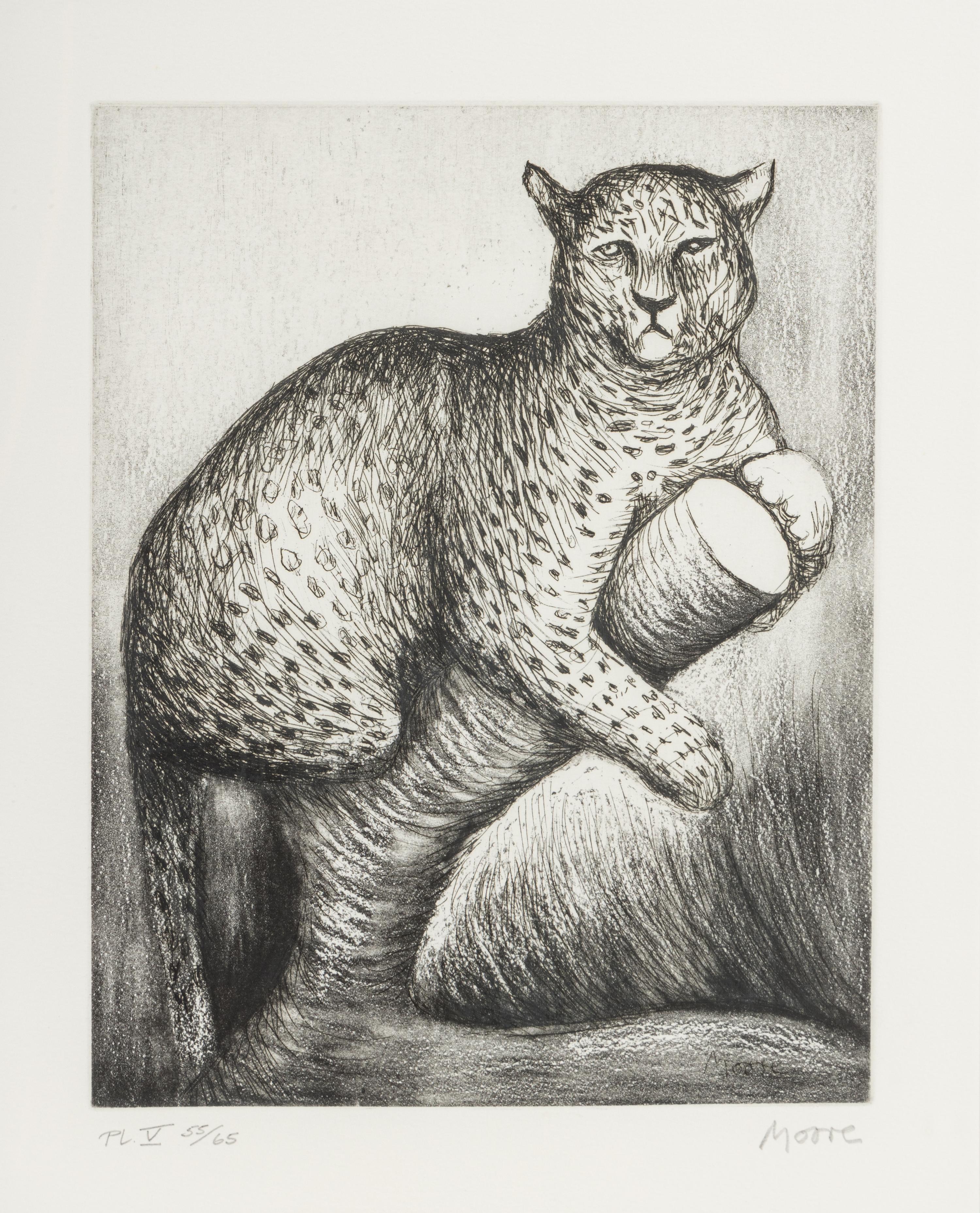 Leopard (Plate V from Animals in the Zoo ), 1981