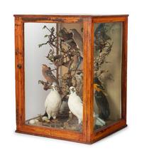 A Victorian Taxidermy Bird Diorama