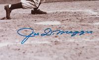 A Joe DiMaggio Signed Autograph Large Format Photograph (Beckett Authentication Services BAS Certified),