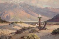 Desert Landscape