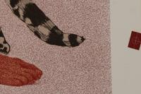 A Proof (Ocelot)