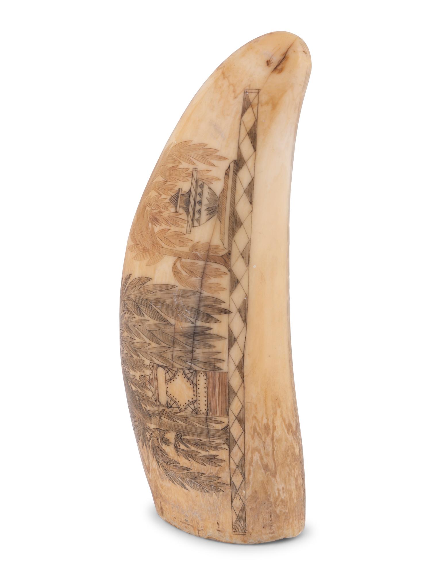 A Scrimshaw Tooth with Whaling Scene