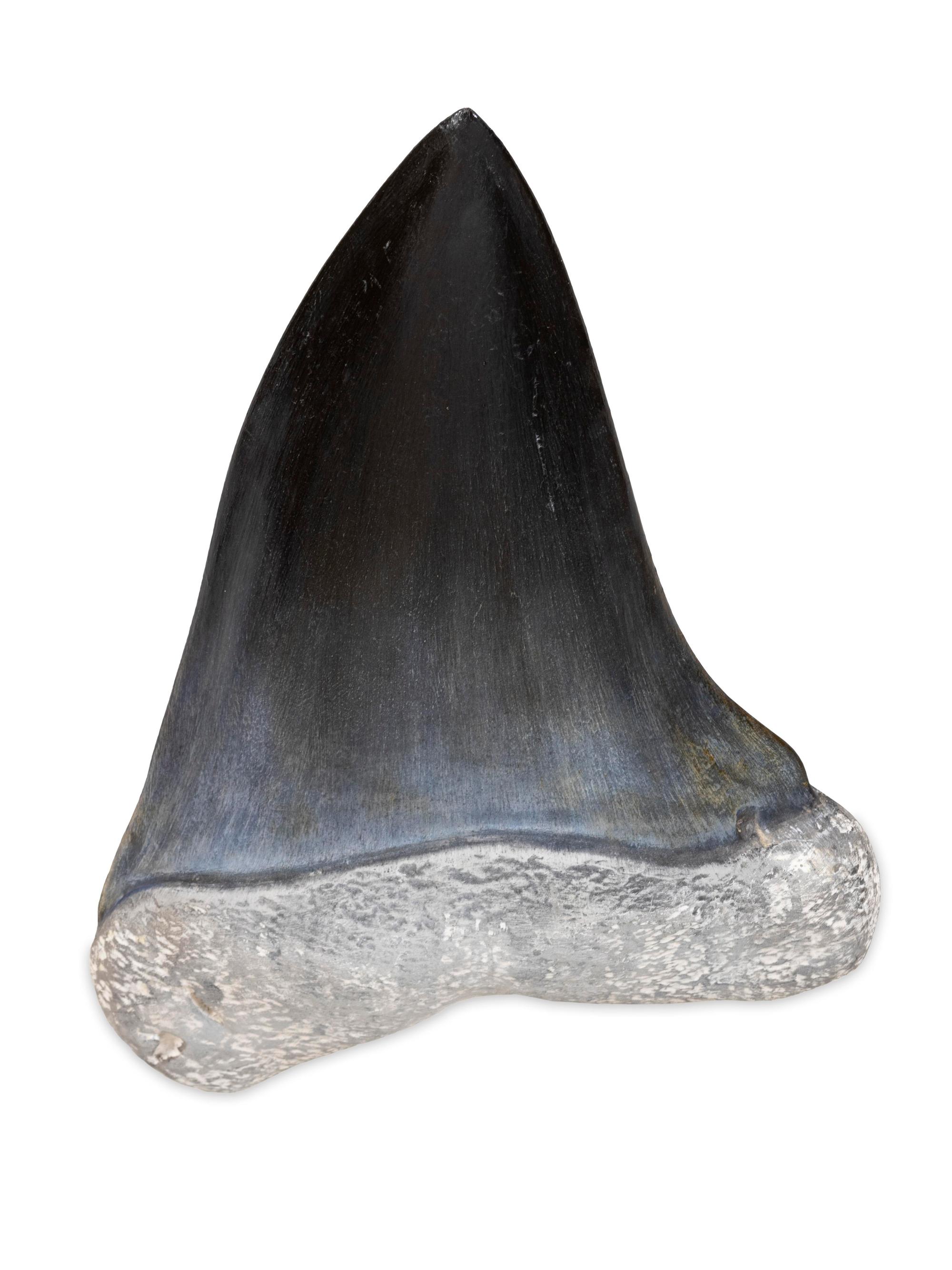 Bon Vivant, 1989