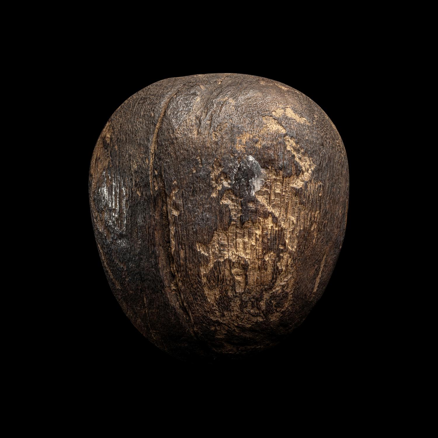 An Early Mochica Algarroba Wood Owl's Head