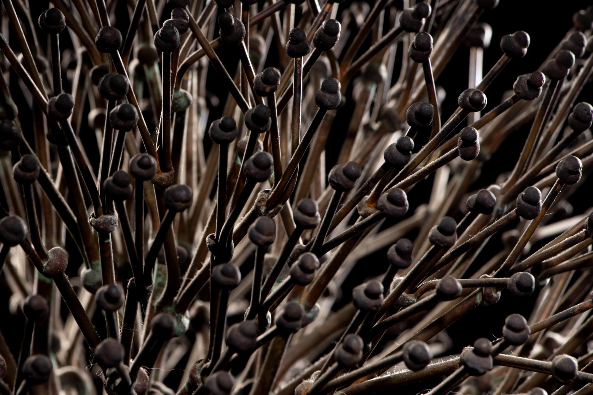 Untitled (Bush)