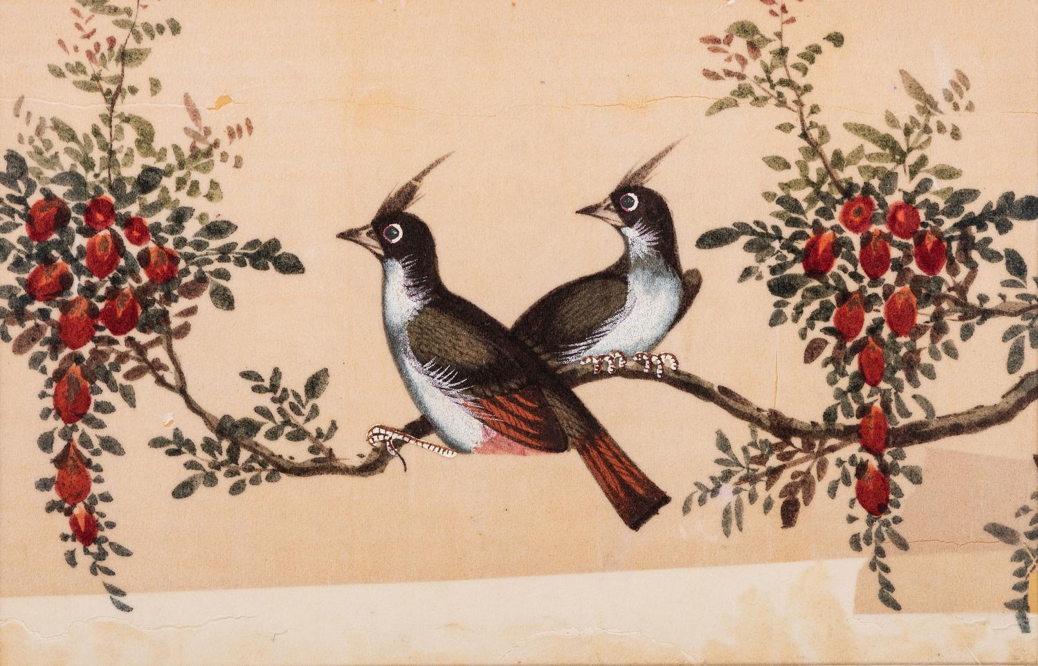 Seven Chinese Export Pith Paintings of Perched Birds and Flowers