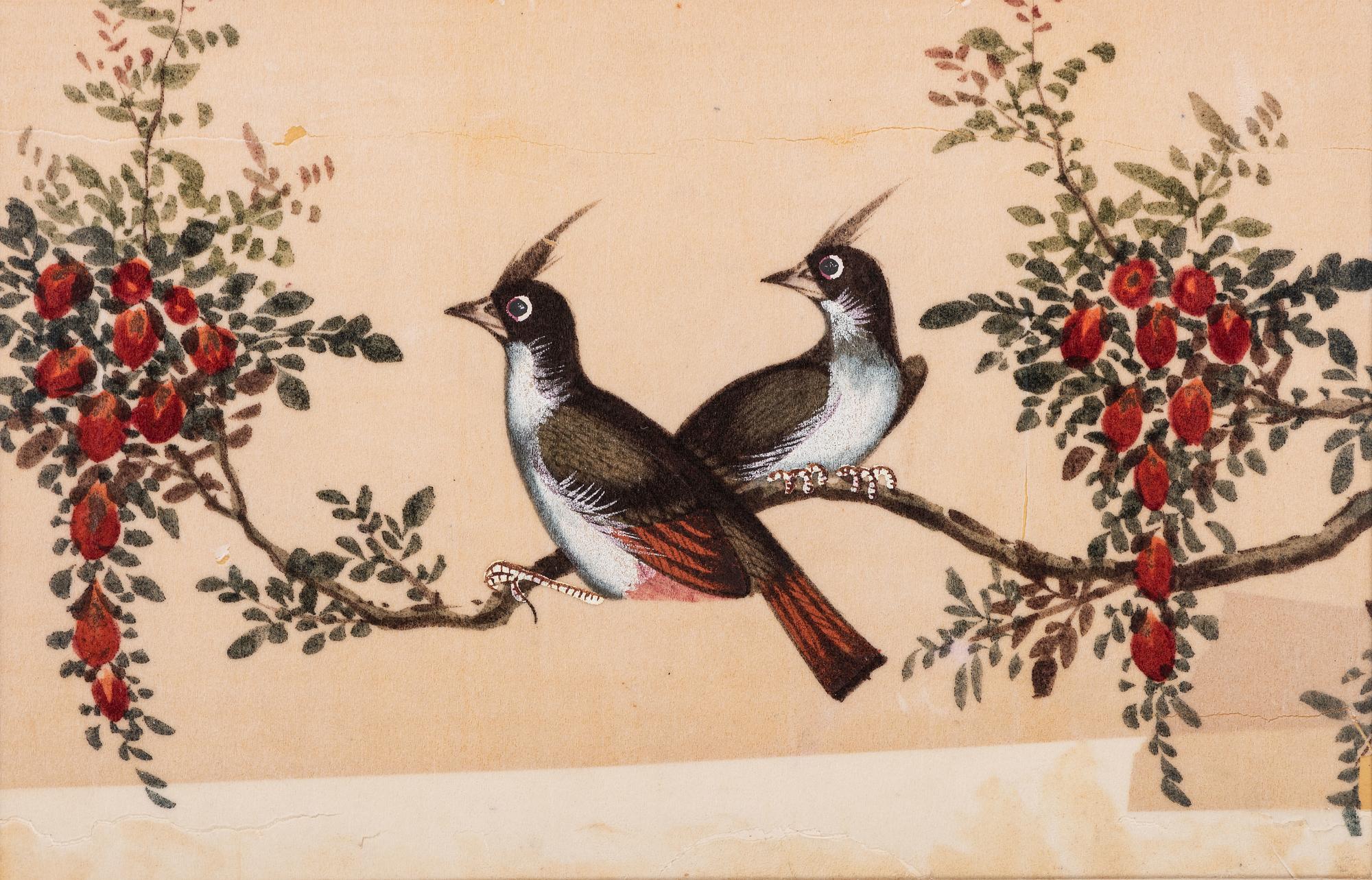 Seven Chinese Export Pith Paintings of Perched Birds and Flowers