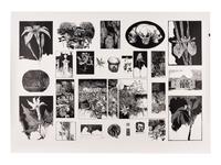 MOSER, Barry. McGrath’s Folly. 2 sheets containing composites of numerous wood engravings by Moser printed by Harold McGrath from various works. Each 640 x 892 mm. Signed by Moser and inscribed “McGrath’s Folly,” and “McGraths Folly II,” each numbered 1/5 copies.