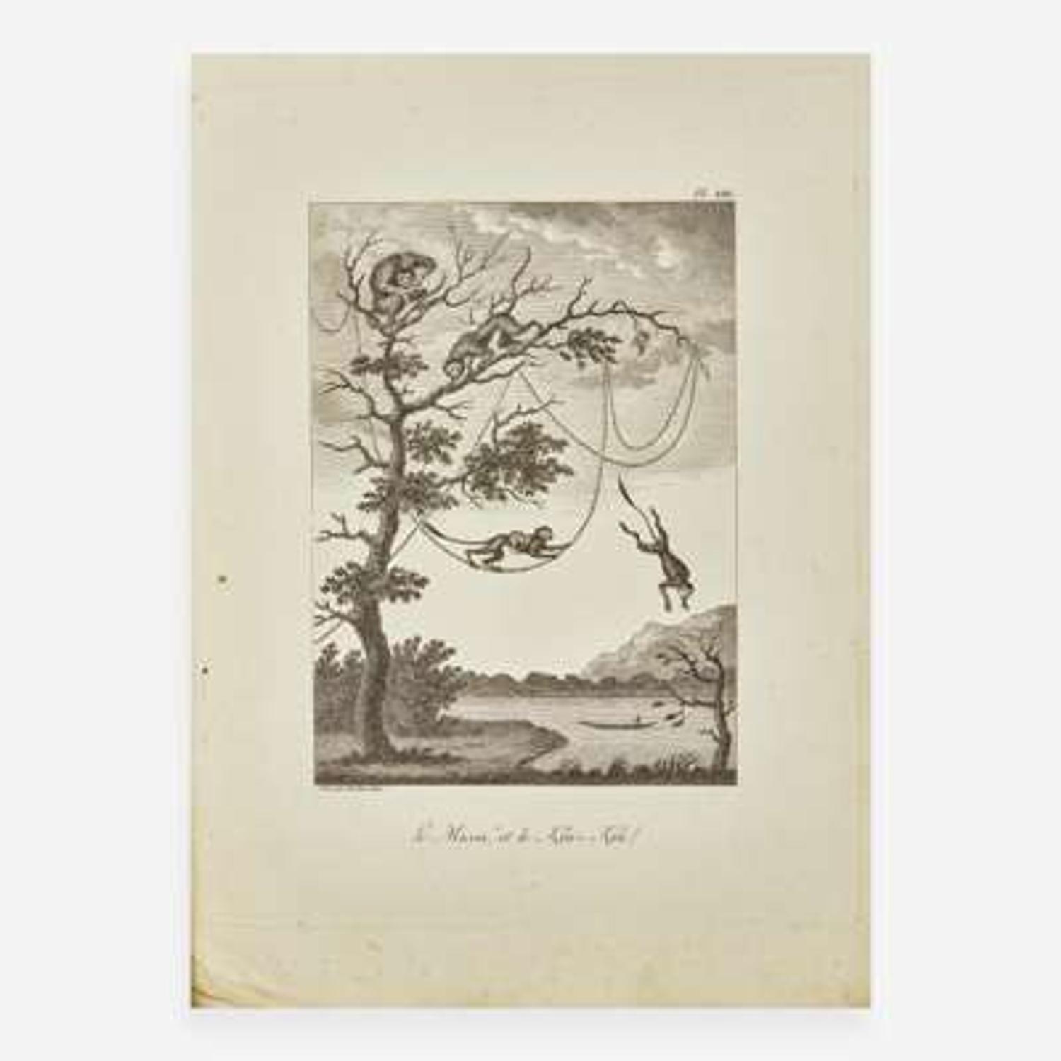 [Travel & Exploration] Stedman, J(ohn). G(abriel). Voyage a Suriname, et dans l'Interieur de la Guiane...