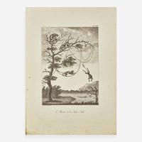 [Travel & Exploration] Stedman, J(ohn). G(abriel). Voyage a Suriname, et dans l'Interieur de la Guiane...