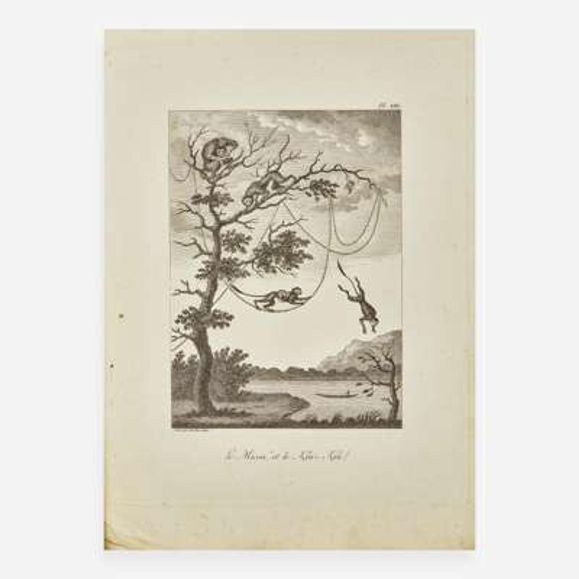[Travel & Exploration] Stedman, J(ohn). G(abriel). Voyage a Suriname, et dans l'Interieur de la Guiane...