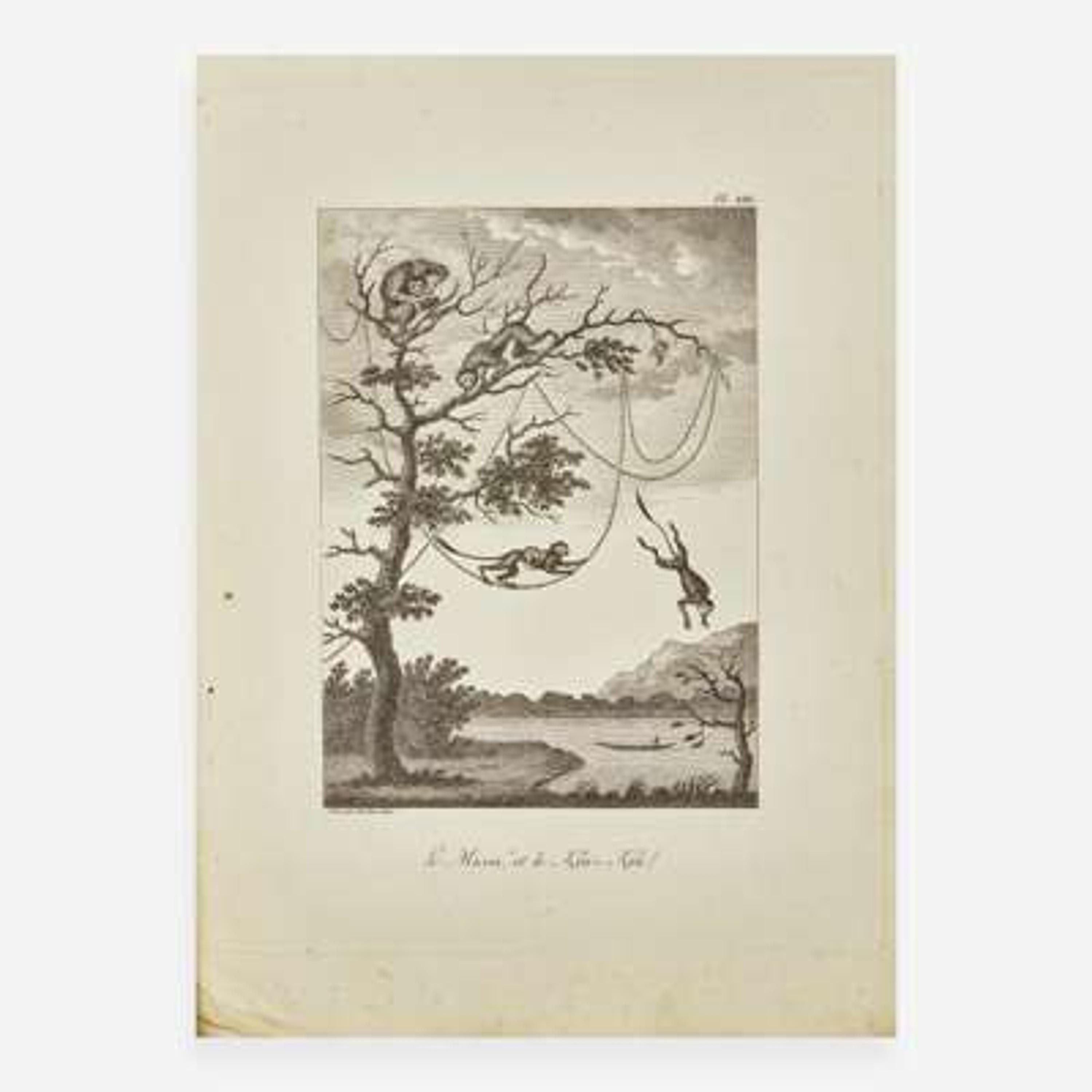 [Travel & Exploration] Stedman, J(ohn). G(abriel). Voyage a Suriname, et dans l'Interieur de la Guiane...