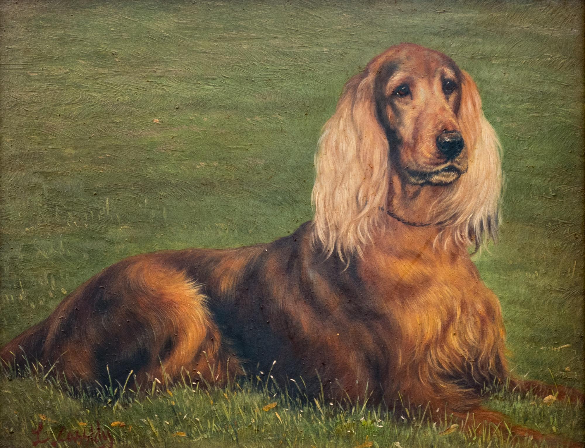 Portrait of a Tri-Color Spaniel and Portrait of a Red Setter