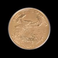 A United States 2004 Eagle $25 Gold Coin