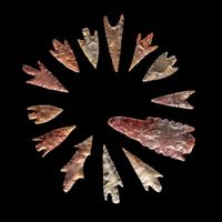 101 Neolithic Flint Points