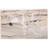 Water Grasses