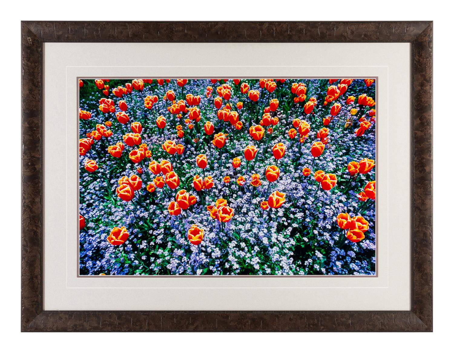 Edge of Spring , edition 173/1500