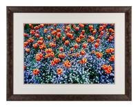 Edge of Spring , edition 173/1500