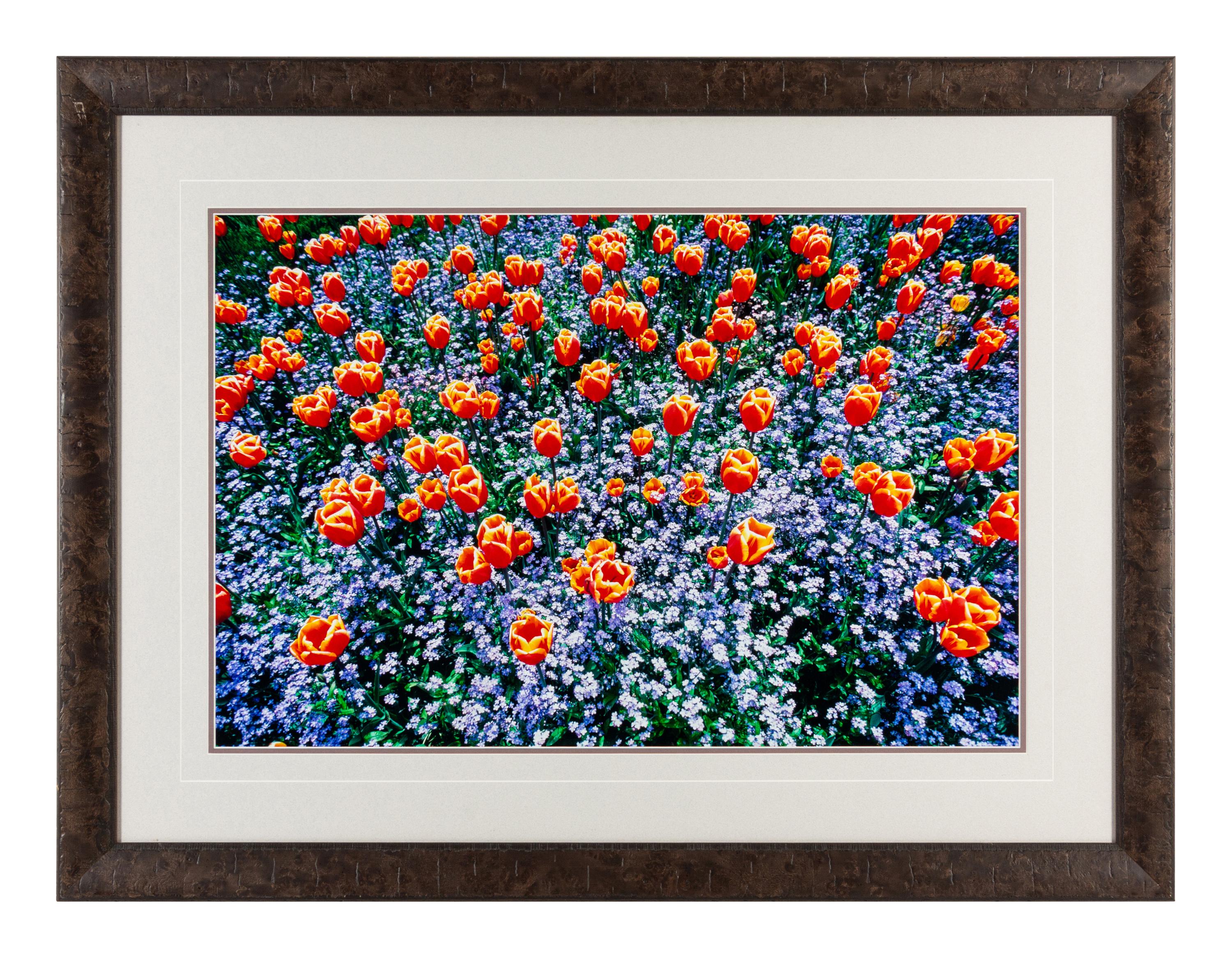 Edge of Spring , edition 173/1500