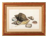 American School, 20th Century