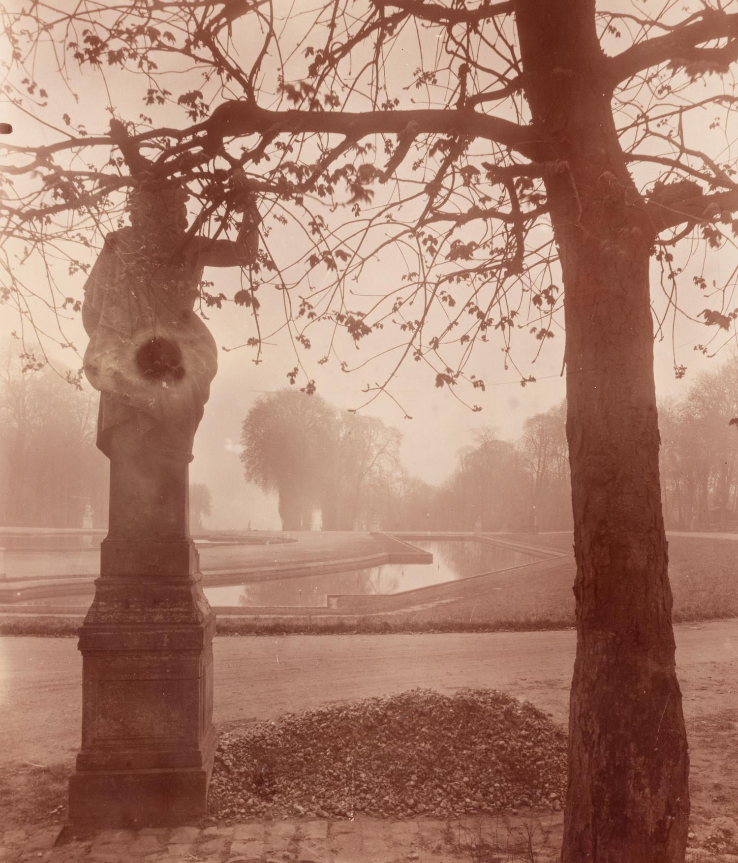A pair of photographs depicting trees, Saint-Cloud ( Saint-Cloud [chene], 1921; Saint-Cloud [19h matin, mars 1926] , 1926)