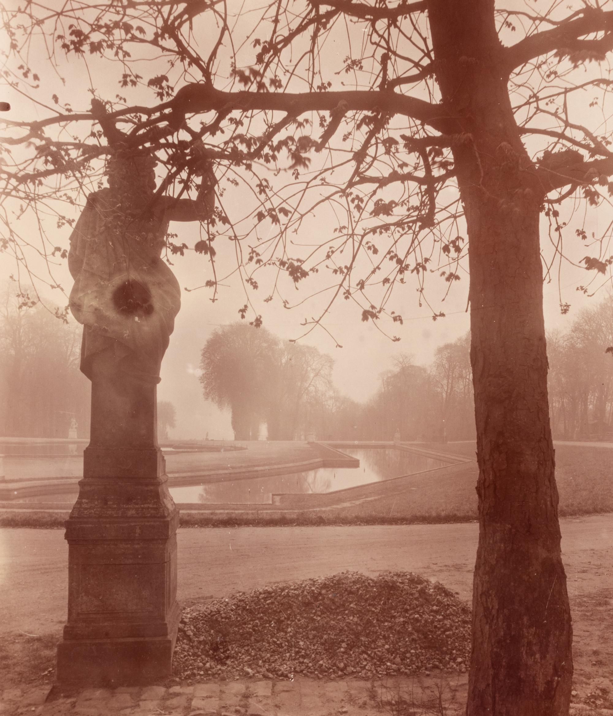 A pair of photographs depicting trees, Saint-Cloud ( Saint-Cloud [chene], 1921; Saint-Cloud [19h matin, mars 1926] , 1926)