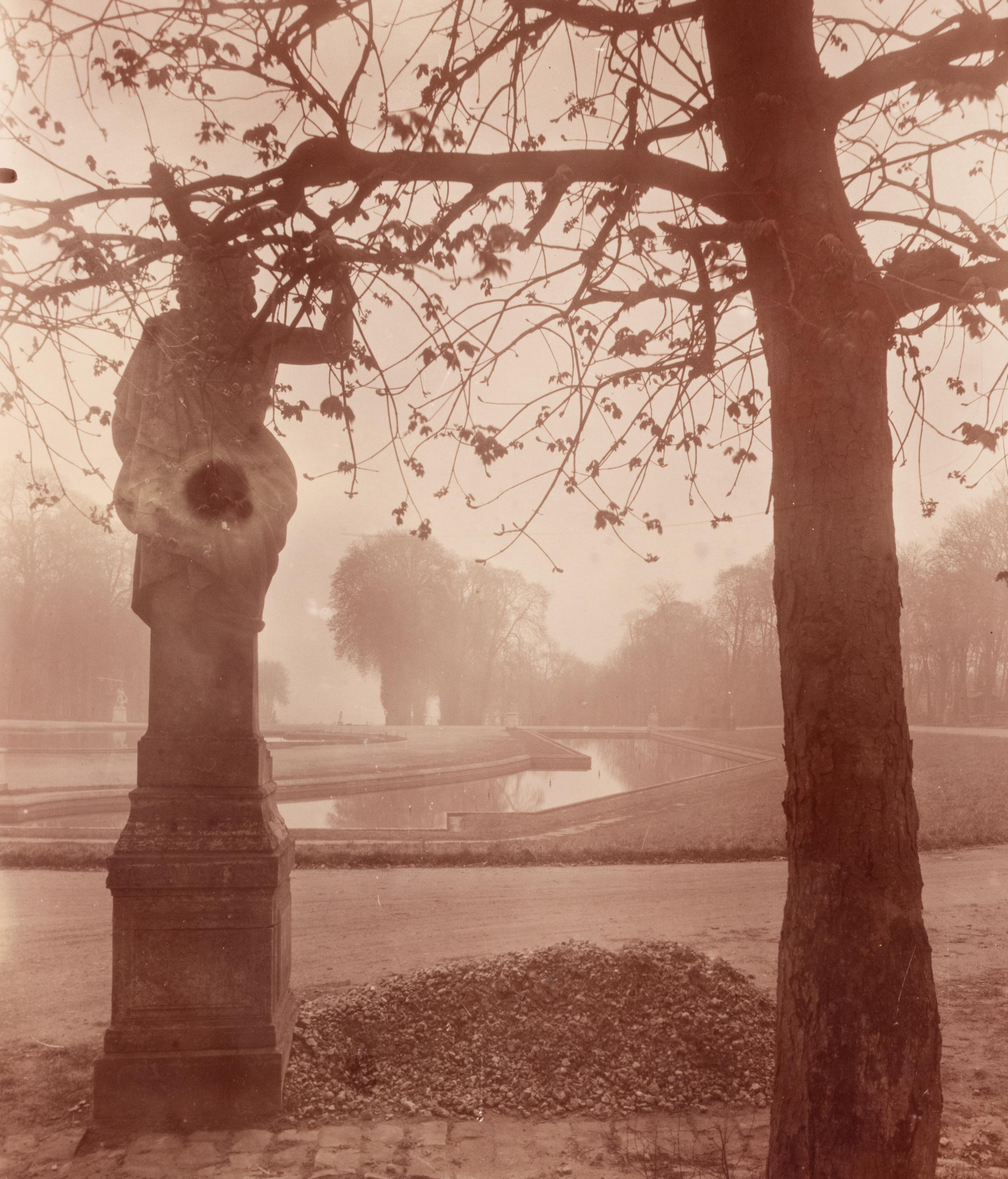 A pair of photographs depicting trees, Saint-Cloud ( Saint-Cloud [chene], 1921; Saint-Cloud [19h matin, mars 1926] , 1926)