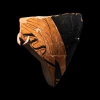 An Attic Red-Figured Vase Fragment