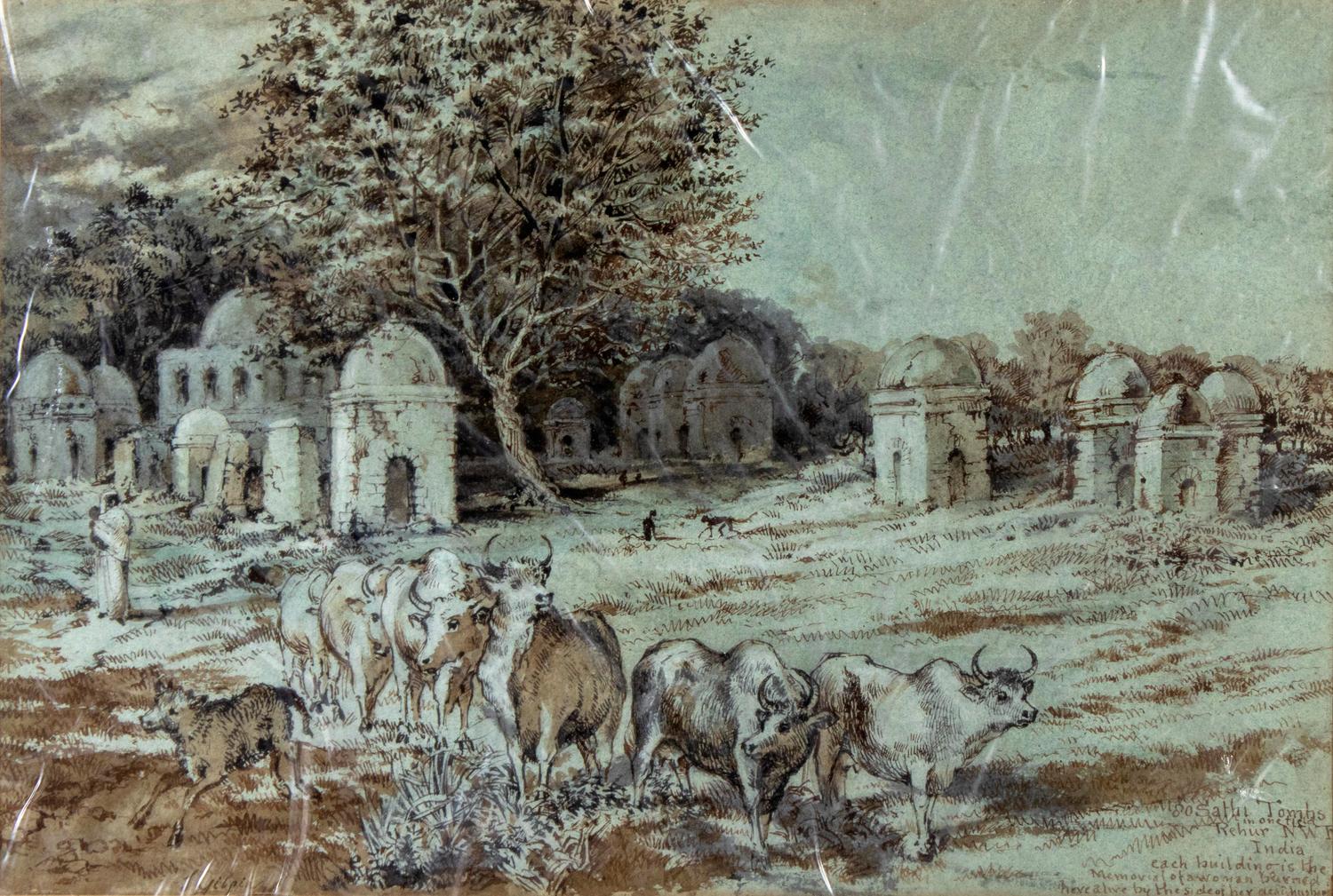 Oxen
